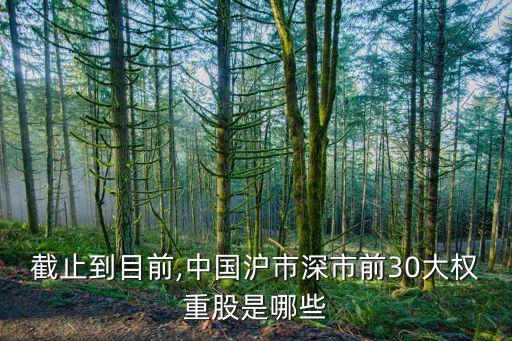 截止到目前,中國(guó)滬市深市前30大權(quán)重股是哪些