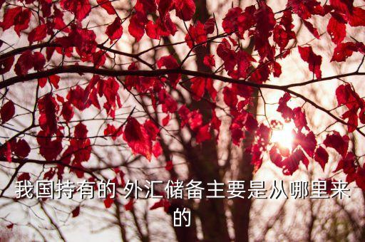 我國持有的 外匯儲(chǔ)備主要是從哪里來的