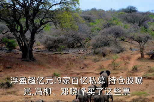 浮盈超億元!9家百億私募 持倉股曝光,馮柳、鄧曉峰買了這些票