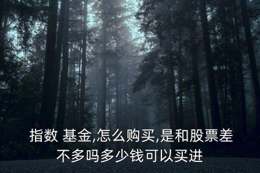 指數基金的價格