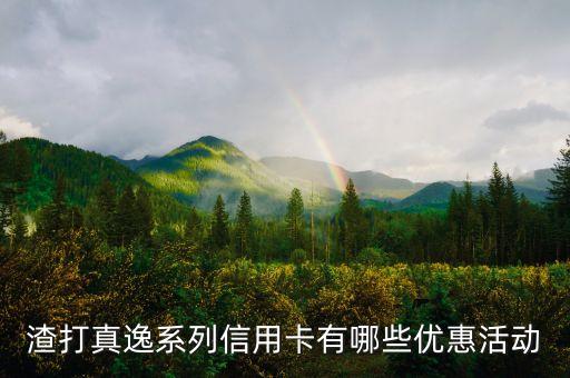 渣打真逸系列信用卡有哪些優(yōu)惠活動