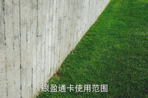 銀盈通支付有限公司,銀生寶支付有限公司客服電話(huà)