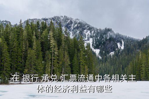 在 銀行 承兌 匯票流通中各相關主體的經(jīng)濟利益有哪些