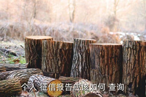 個(gè)人 征信報(bào)告應(yīng)該如何 查詢(xún)