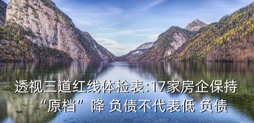 透視三道紅線體檢表:17家房企保持“原檔”降 負債不代表低 負債