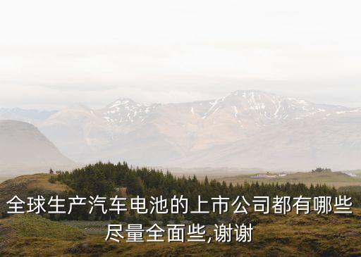 全球生產(chǎn)汽車(chē)電池的上市公司都有哪些盡量全面些,謝謝