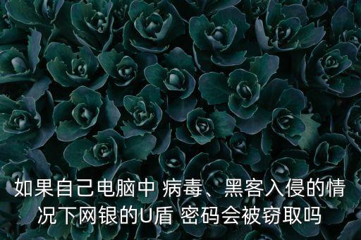 如果自己電腦中 病毒、黑客入侵的情況下網(wǎng)銀的U盾 密碼會(huì)被竊取嗎
