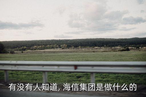 有沒(méi)有人知道, 海信集團(tuán)是做什么的
