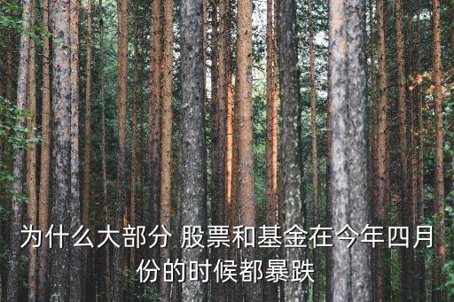 哪些股票基金會下折,社保基金會買哪些股票