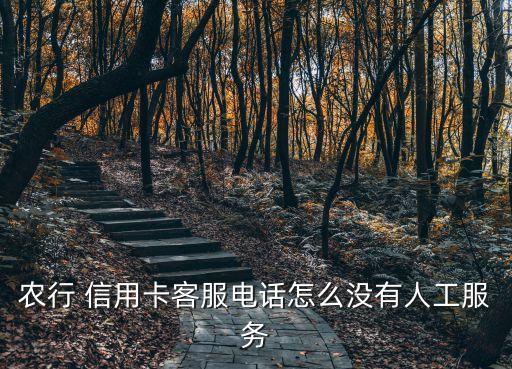 農業(yè)銀行信用卡營銷與管理,申請農業(yè)銀行信用卡營銷授權是什么意思