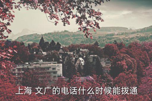 上海文廣集團戰(zhàn)略投資部