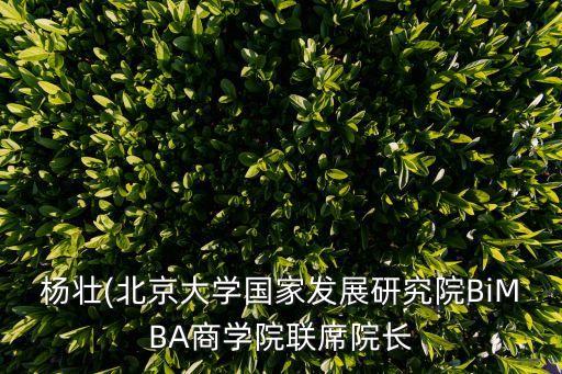 北大中國經(jīng)濟(jì)中心,中國經(jīng)濟(jì)的中心城市