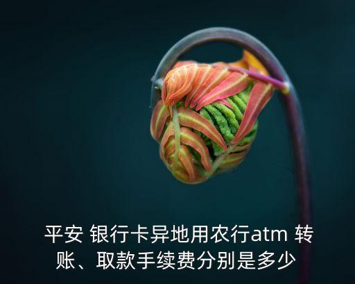  平安 銀行卡異地用農(nóng)行atm 轉賬、取款手續(xù)費分別是多少