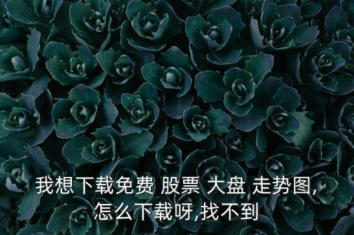 我想下載免費 股票 大盤 走勢圖,怎么下載呀,找不到