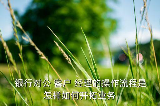  銀行對(duì)公 客戶 經(jīng)理的操作流程是怎樣如何開(kāi)拓業(yè)務(wù)
