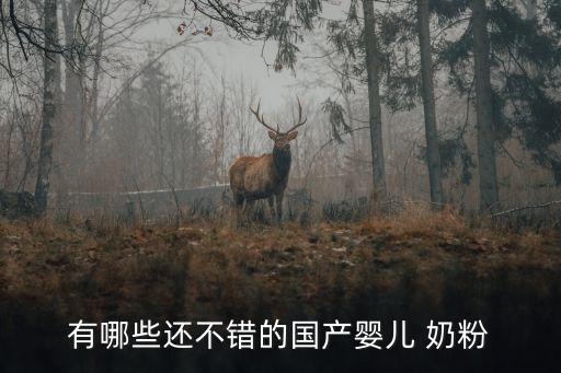 有哪些還不錯的國產嬰兒 奶粉