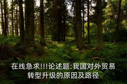 在線急求!!!論述題:我國(guó)對(duì)外貿(mào)易轉(zhuǎn)型升級(jí)的原因及路徑