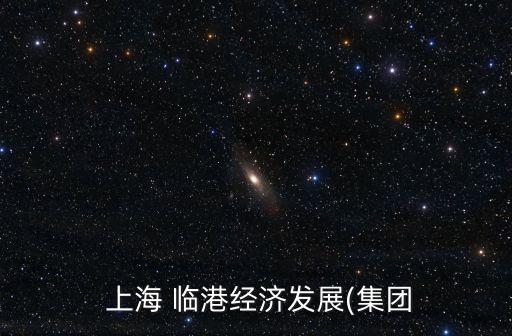 上海臨港袁國(guó)華簡(jiǎn)歷,臨港集團(tuán)袁國(guó)華董事長(zhǎng)