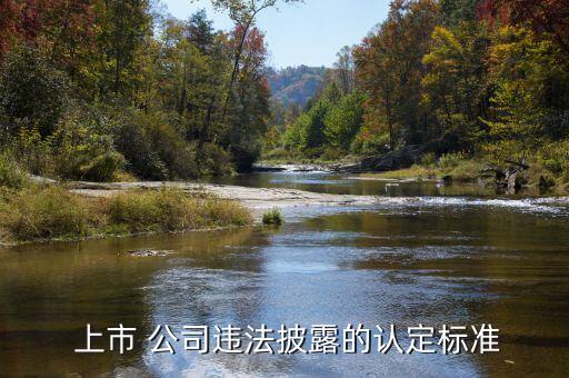  上市 公司違法披露的認定標(biāo)準(zhǔn)