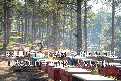 我想具體了解下武鋼工人的問題,可以嗎我想知道在里面做工人發(fā)展的機...