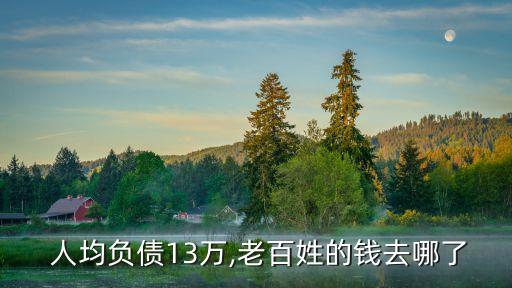  人均負(fù)債13萬(wàn),老百姓的錢(qián)去哪了