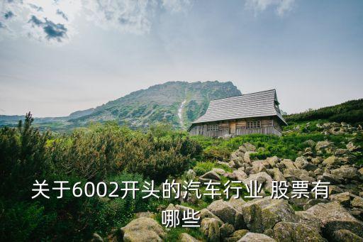關(guān)于6002開(kāi)頭的汽車(chē)行業(yè) 股票有哪些