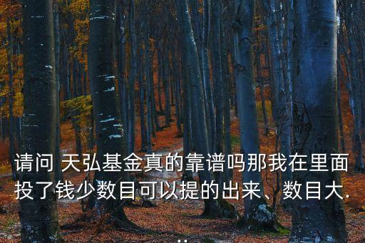 請問 天弘基金真的靠譜嗎那我在里面投了錢少數(shù)目可以提的出來、數(shù)目大...