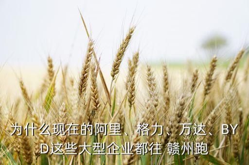 為什么現(xiàn)在的阿里、格力、萬(wàn)達(dá)、BYD這些大型企業(yè)都往 贛州跑