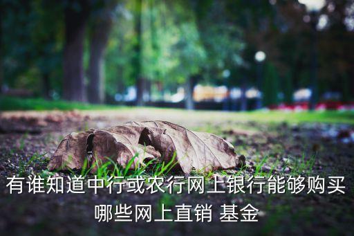 有誰(shuí)知道中行或農(nóng)行網(wǎng)上銀行能夠購(gòu)買哪些網(wǎng)上直銷 基金