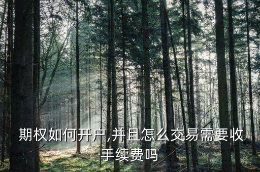  期權如何開戶,并且怎么交易需要收手續(xù)費嗎