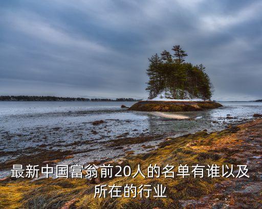 最新中國(guó)富翁前20人的名單有誰(shuí)以及所在的行業(yè)