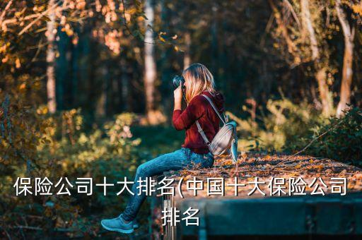 保險(xiǎn)公司十大排名(中國十大保險(xiǎn)公司排名