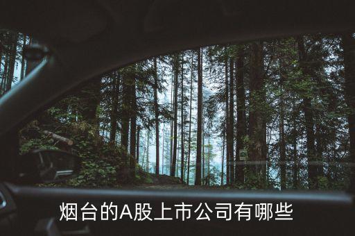 東方電子股票簡介,煙臺(tái)東方電子股票