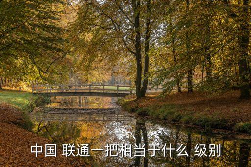 中國 聯通一把相當于什么 級別
