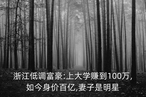 中國(guó)神秘富商,神秘富商2出版了么