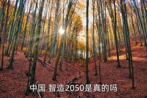 中國(guó) 智造2050是真的嗎
