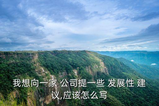 我想向一家 公司提一些 發(fā)展性 建議,應該怎么寫