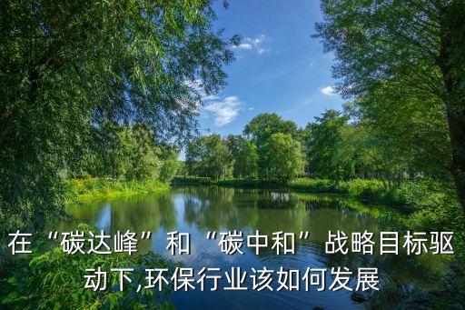 在“碳達(dá)峰”和“碳中和”戰(zhàn)略目標(biāo)驅(qū)動(dòng)下,環(huán)保行業(yè)該如何發(fā)展