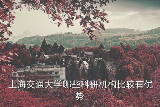  上海交通大學哪些科研機構(gòu)比較有優(yōu)勢