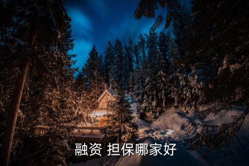 陜西中小企業(yè)融資擔(dān)保公司,邵陽市中小企業(yè)融資擔(dān)保有限責(zé)任公司