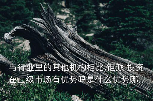 與行業(yè)里的其他機(jī)構(gòu)相比,鉅派 投資在二級市場有優(yōu)勢嗎是什么優(yōu)勢哪...
