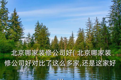 北京盛達(dá)振興實(shí)業(yè)有限公司,深圳市輝盛達(dá)實(shí)業(yè)有限公司