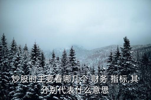 炒股時主要看哪幾個 財務(wù) 指標,其分別代表什么意思
