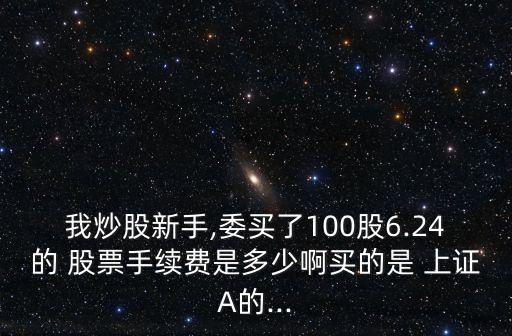 我炒股新手,委買了100股6.24的 股票手續(xù)費(fèi)是多少啊買的是 上證A的...