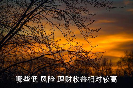 哪些低 風(fēng)險(xiǎn) 理財(cái)收益相對較高