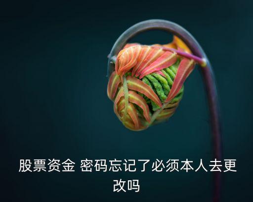 股票賬戶(hù)登錄密碼忘了,同花順股票賬戶(hù)密碼忘了怎么辦