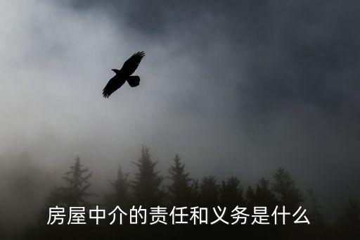 房產(chǎn)經(jīng)紀(jì)公司服務(wù)承諾,房?jī)?yōu)優(yōu)房產(chǎn)經(jīng)紀(jì)公司