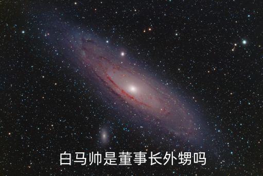 白馬集團(tuán)總裁,廣東白馬集團(tuán)總裁是誰(shuí)