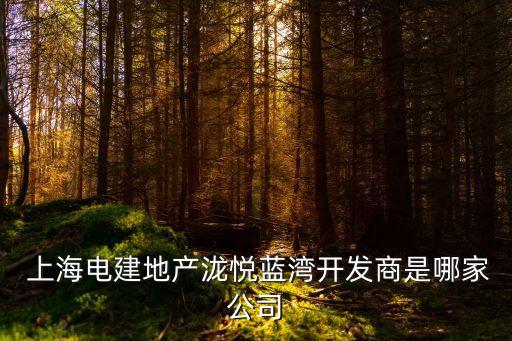  上海電建地產瀧悅藍灣開發(fā)商是哪家公司