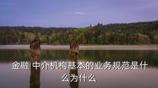  金融 中介機構(gòu)基本的業(yè)務規(guī)范是什么為什么